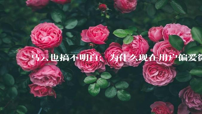 马云也搞不明白：为什么现在用户偏爱微信支付，而不是支付宝？