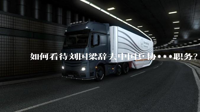 如何看待刘国梁辞去中国乒协***职务？